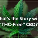 What’s the Story with “THC-Free” CBD?
